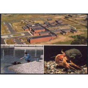 Nords&oslash; Centeret - Nords&oslash;muesst 8591