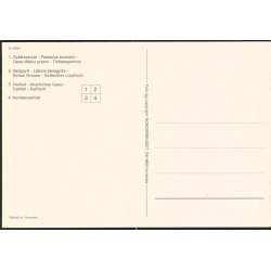 Nords&oslash; Centeret - Nords&oslash;museet 8594