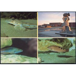 Nords&oslash; Centeret - Nords&oslash;museet 8593