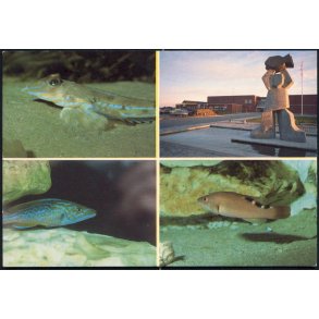 Nords&oslash; Centeret - Nords&oslash;museet 8593