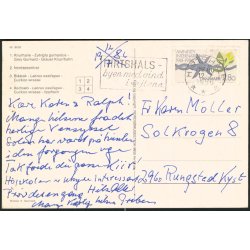 Nords&oslash; Centeret - Nords&oslash;museet 8593