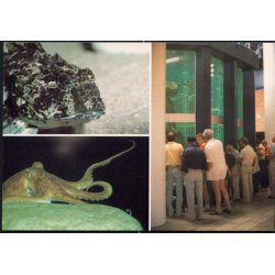 Nords&oslash; Centeret - Nords&oslash;museet 85100