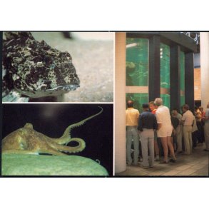 Nords&oslash; Centeret - Nords&oslash;museet 85100