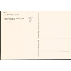 Nords&oslash; Centeret - Nords&oslash;museet 85100