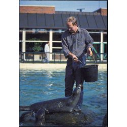 Nords&oslash; Centeret - Nords&oslash;museet u/n