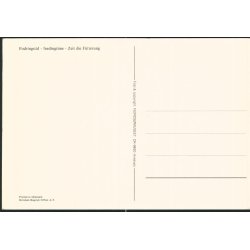 Nords&oslash; Centeret - Nords&oslash;museet u/n