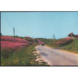 Nedk&oslash;rsel - Tornby Strand - Viggo Asmussen 422