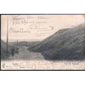 Tornby - Parti ved Strandlyst - Peter Alstrup 683