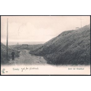 Tornby - Parti ved Strandlyst - Peter Alstrup 683