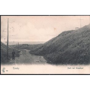 Tornby - Parti ved Strandlyst - Peter Alstrup 683