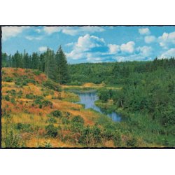 Hirtshals - Parti i Tornby Klitplantage - Havnekiosken 143 610 028