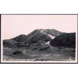 Klitter ved Svinkl&oslash;v Badehotel - Pors 351