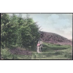 Parti Fra Svinkl&oslash;v - C. Buchholtzs Bogh. 11730