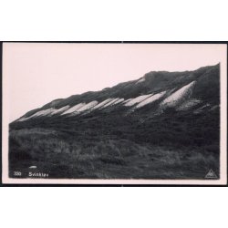 Svinkl&oslash;v - Pors 330