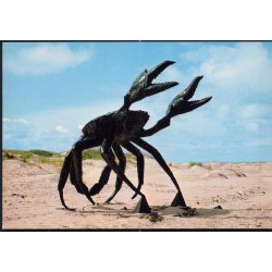 Havnekrabbe - Slettestrand - Wadmanns 8450 - Ubrugt