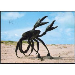 Havnekrabbe - Slettestrand - Wadmanns 8450