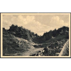 Faldet - Svinkl&oslash;v - Svinkl&oslash;v Kiosk 4101