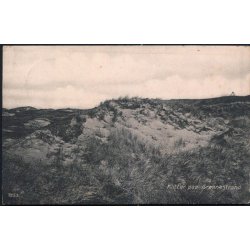 Klitter paa Gr&oslash;nnestrand - 7253