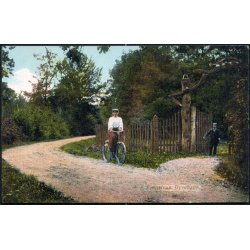 Svendstrup Dyrehave - C.F. 551