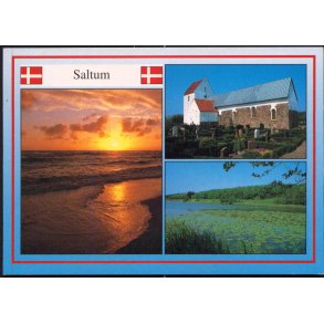 Saltum - Trojaborg SAL 3