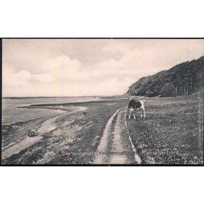 Skr&aelig;ntparti (Vesterskov) Mariager Fjord - Poul Nielsens 5031