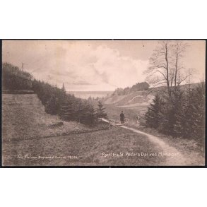 Parti fra St. Peders Dal ved Mariager - Poul Nielsens 16326