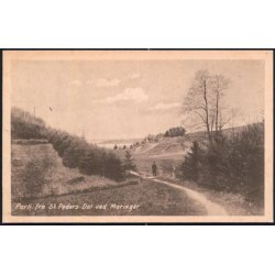 Parti fra St. Peders Dal ved Mariager - Poul Nielsens u/n