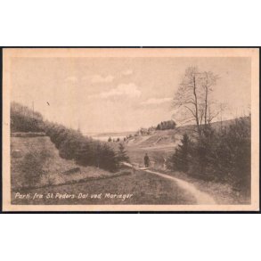 Parti fra St. Peders Dal ved Mariager - Poul Nielsens u/n