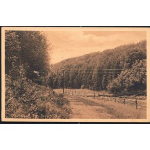 Mariager - Sct. Peders Dal - Stender 31051