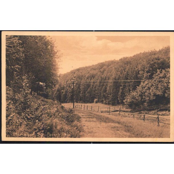 Mariager - Sct. Peders Dal - Stender 31051