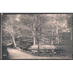 Springvand i Munkholm ved Mariager - 4879