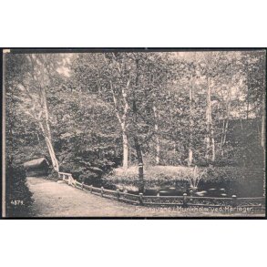 Springvand i Munkholm ved Mariager - 4879