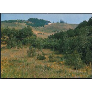 Langdalen - Nordby - Samsø - Fl. Andersens Bogh. 143 723 082