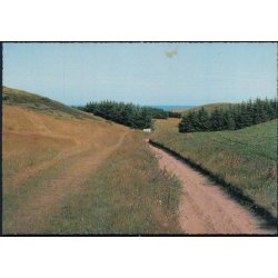 Issehoved - Nordby - Sams&oslash; - Flemming Andersen 43 723/4