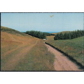 Issehoved - Nordby - Sams&oslash; - Flemming Andersen 43 723/4