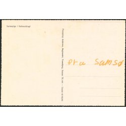 Sams&oslash;pige i Nationaldragt - Flemming Andersen 43 723/48