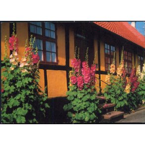 Bornholm - Rosengade - Rnne - William Dams Bogh. 6105