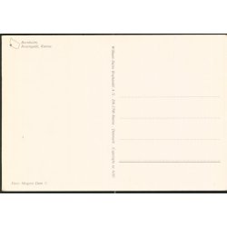 Bornholm - Rosengade - Rnne - William Dams Bogh. 6105