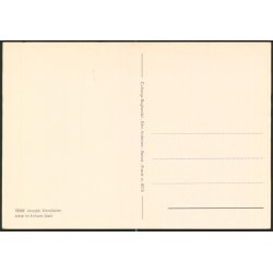 Rnne - Vimmelskaftet - Larsegade - Colbergs Bogh. 8016