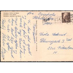 Bornholm - Partier fra Rnne - Stender 149 404 600