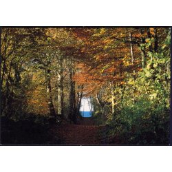 Bornholm - Rnne Plantage - William Dams Bogh. 9210