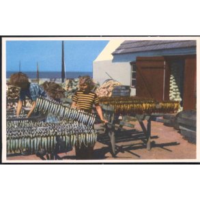 Bornholm - Silderygeri - Colbergs Bogh. 176