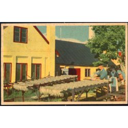 Bornholm - Sildene klar til Rgning - K. Witt-Mller 196