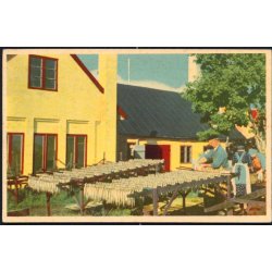 Bornholm - Sildene klar til Rgning - K. Witt-Mller 196