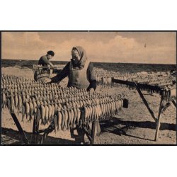 Bornholm - Sildetrring - Rudolf Olsen 5537