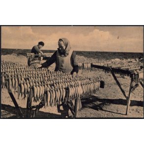 Bornholm - Sildetrring - Rudolf Olsen 5537