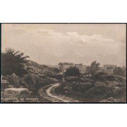 Nex - Hulvej ved Nrremark - Christian Svendsen 31