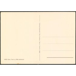 Nex - Kirken - Torvet og Balka badestarns - Colbergs Bogh. 8825