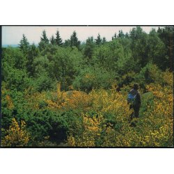 Bornholm - Paradisbakkerne - William Dans Bogh. 6069