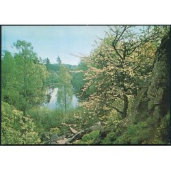 Bornholm - Paradisbakkerne - Rudolf Olsen 1717